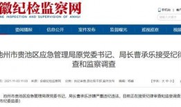 大皖新闻爆料地址在哪里,揭秘事件背后神秘地址